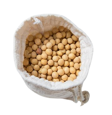 soya beans